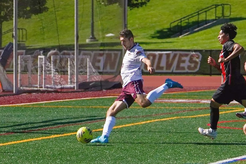 Josh Ertel strikes the ball for Alvernia University